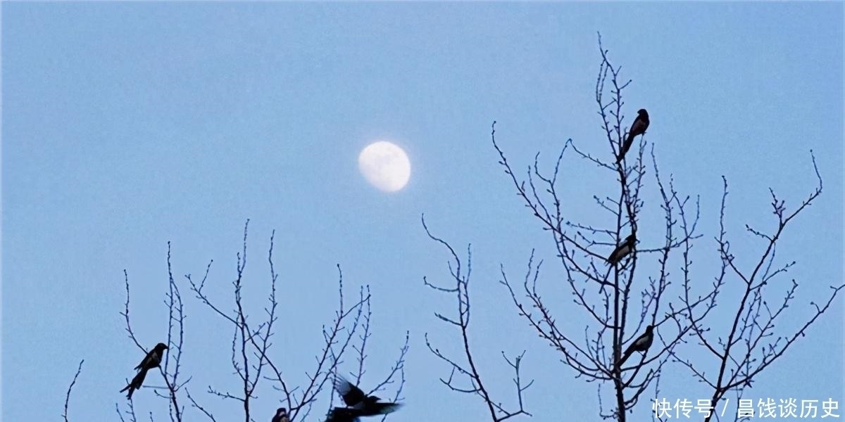 鸣蝉|辛弃疾一首《西江月》,写出了乡村夏日夜晚景象,农村孩子都见过