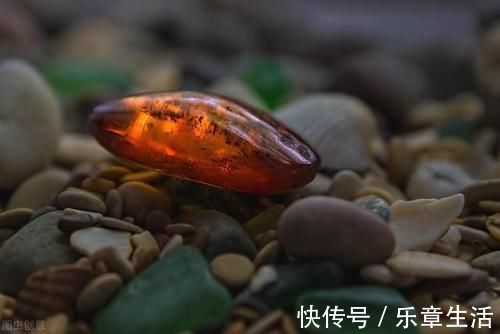 山海经|有一味中药李时珍说是虎之精魄,能养心安神调失眠,还能活血通经