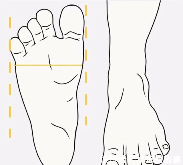 脚型 是时候穿凉鞋了!今年流行这几款,清凉显脚小!