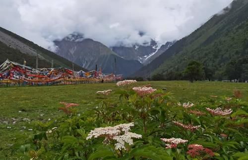 甲应村|甲应村：一个人与自然和谐相处却又美似天堂的地方