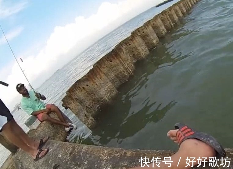 鱼类|男子钓鱼遇“不明怪鱼”,身上满是黑白条纹,细看后眼前一亮!