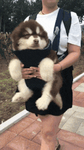 |搞笑 GIF:这样的防身术 男孩子值得拥有