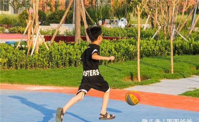 脾胃虚弱|秋季长高“加速器”公开,不是牛奶,孩子若坚持,身高或长7公分