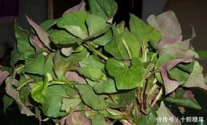 女性担心变老，常吃三种东西，补充营养，滋阴补肾，越吃越年轻