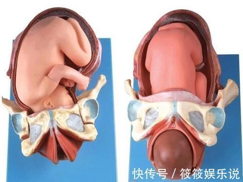 妈妈们|怀孕后,胎儿在默默地用四种方式守护你,别以为只有你在“战斗”