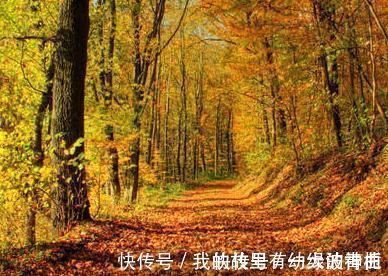 开篇@陆游夏末郊游,写下一首七律,开篇就直抒胸臆,尾联更值得细读