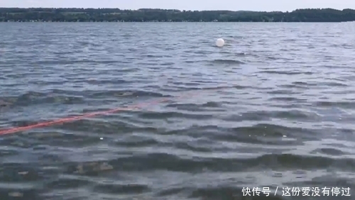 气球|煮熟的红薯做饵,气球为浮漂,放到大河中,钓获大鲤鱼,成本真低