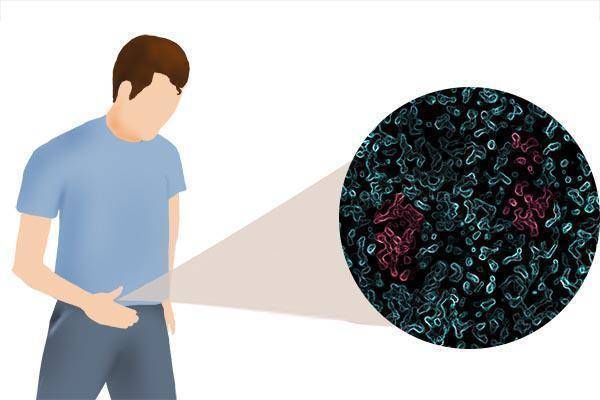 女性身体|进入女性身体后,那些没能和卵子碰头的“小蝌蚪”,去了哪里