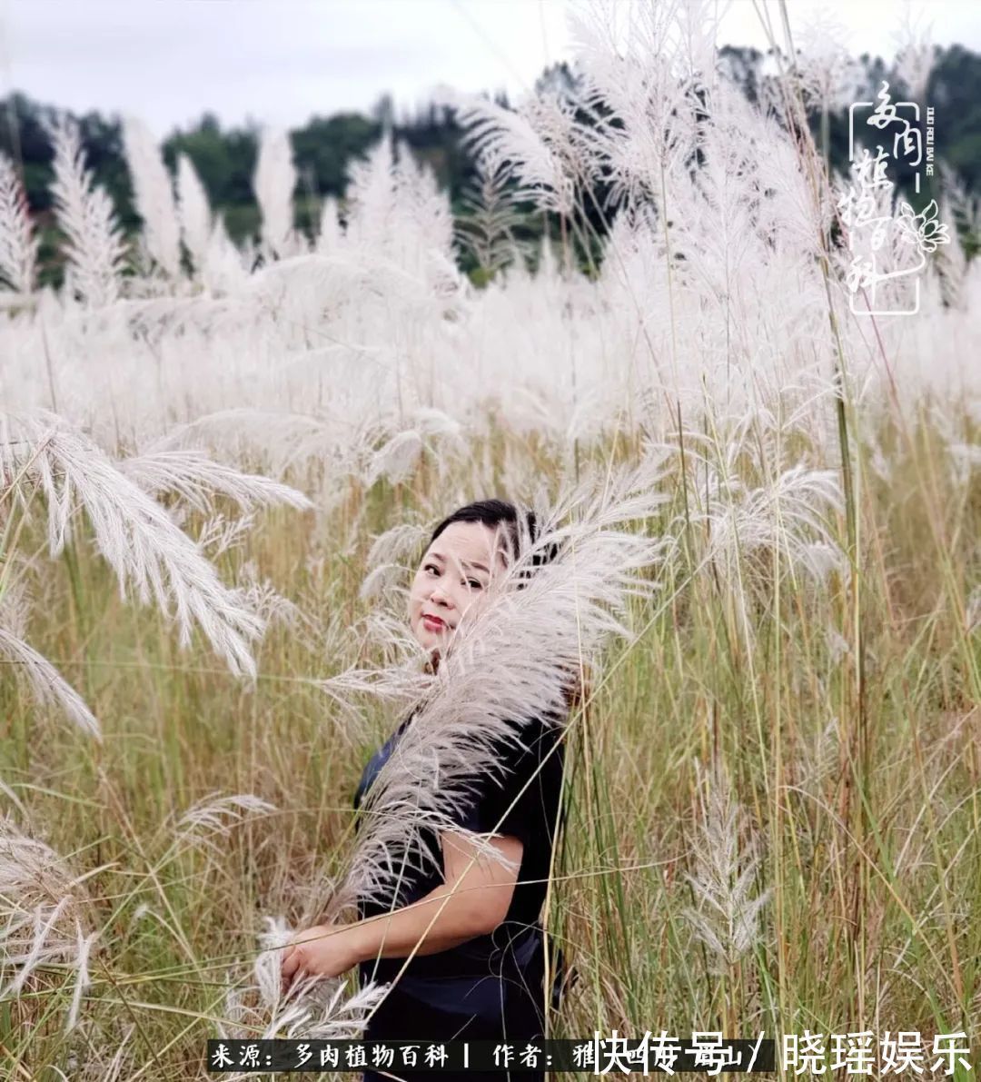 万圣节|养多肉六年,从痴迷到佛系,世事漫随流水,唯有喜爱永恒!