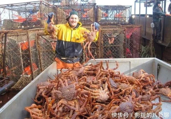 职业|干5天能赚69万的职业,却平均每7天就有一人丧命!你敢做吗