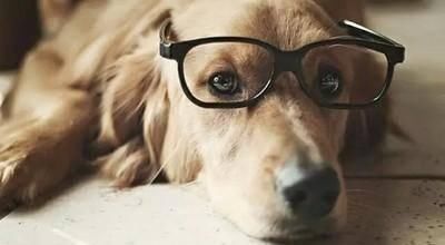 你是色“盲”吗？关于颜色的小知识，送给你们