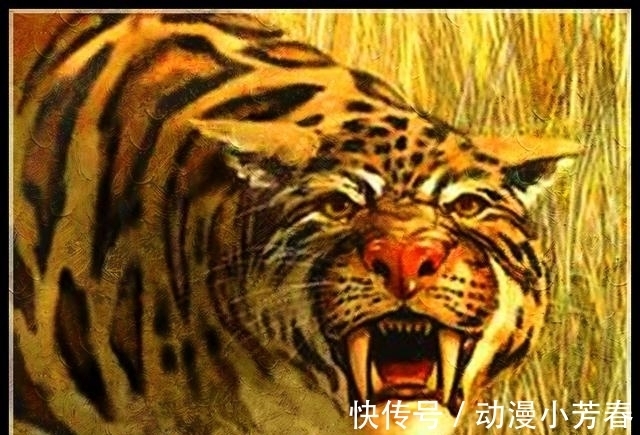 king|海贼王：佐佐木准备挑战King，他或是古代种异刃虎能力者