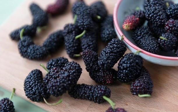 啤白|最好的解酒药,不是大蒜而是它,酒前嚼3粒,啤白混喝天亮都不醉