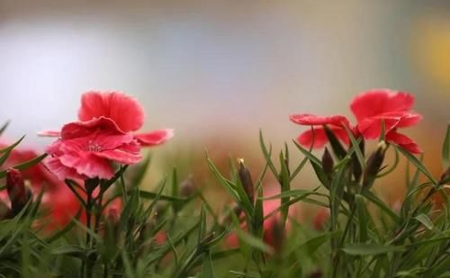 “一键出片”&“买到手软”的时尚北京2021，还在等你来打卡