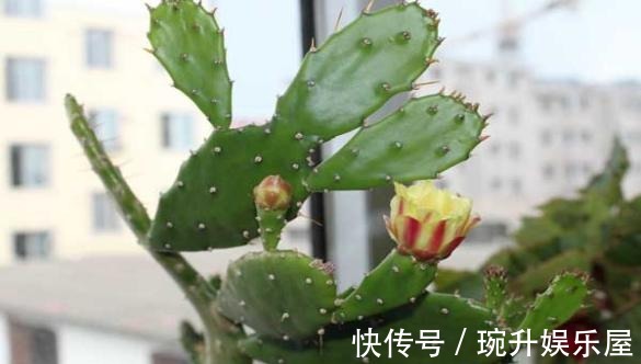 轻松|滑膜炎不能走路？这个方法很厉害，赶走积液很轻松~