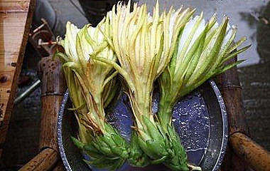 春天到了，多吃三种食物，润肺凉血，润肠排便，早吃早好