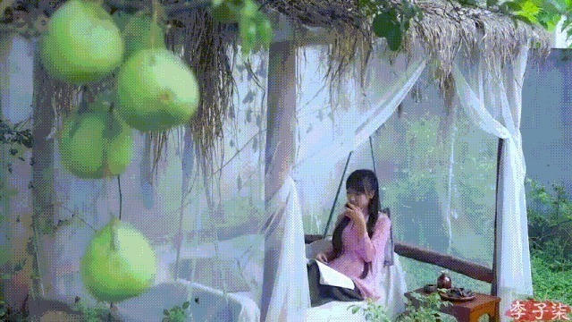 衣服|如果说李子柒的生活对我们不切实际，那她穿的衣服我们倒能学学