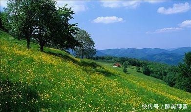 李煜暮年的一首词,笔触细致,读完令人心碎