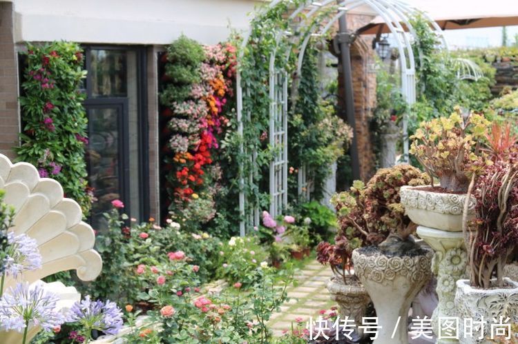 花草|历时一年，在31楼打造300㎡“屋顶花园”，如今美成了仙境