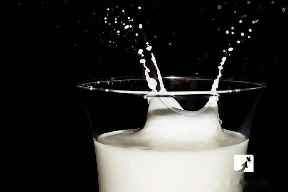 牛奶|买牛奶,贵的就好?错了,按照包装上这“4点”挑