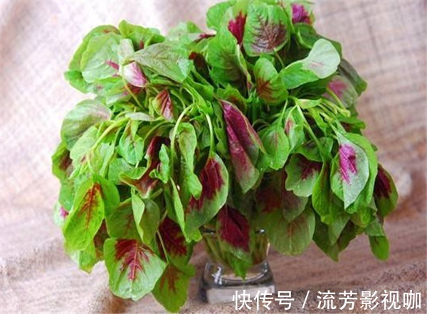 苋菜|女性进入易瘦期,多吃3种食物,减肥护肤,润肠通便,越吃越瘦
