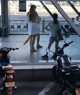 |搞笑美女GIF:美女终于漏出了她的狐狸尾巴了!而且是真的还会动!