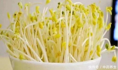 黄豆芽PK绿豆芽,谁营养更胜一筹