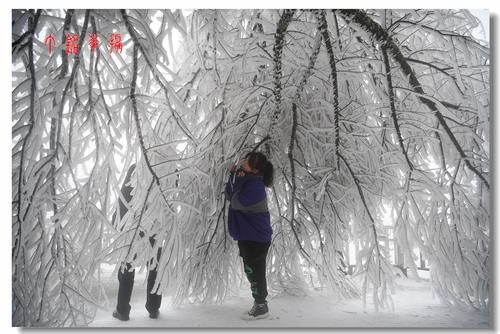 铅山|铅山葛仙山白雪皑皑，犹如冰雪童话世界