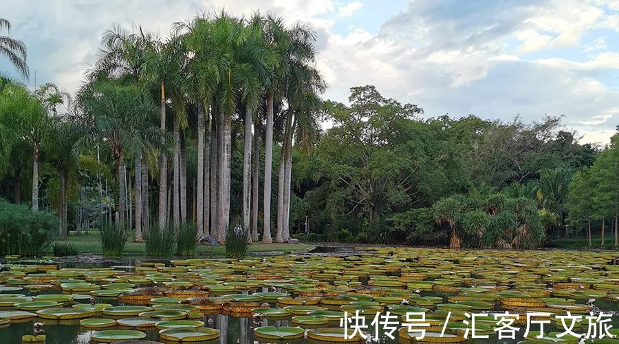 雨林|比泰国风情,比丽江更美!被评为2022全球十佳旅行地!