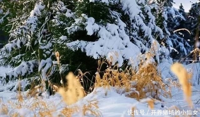 少女|18张图都隐藏着少女,找出6个正常,9个聪明,14个以上天才