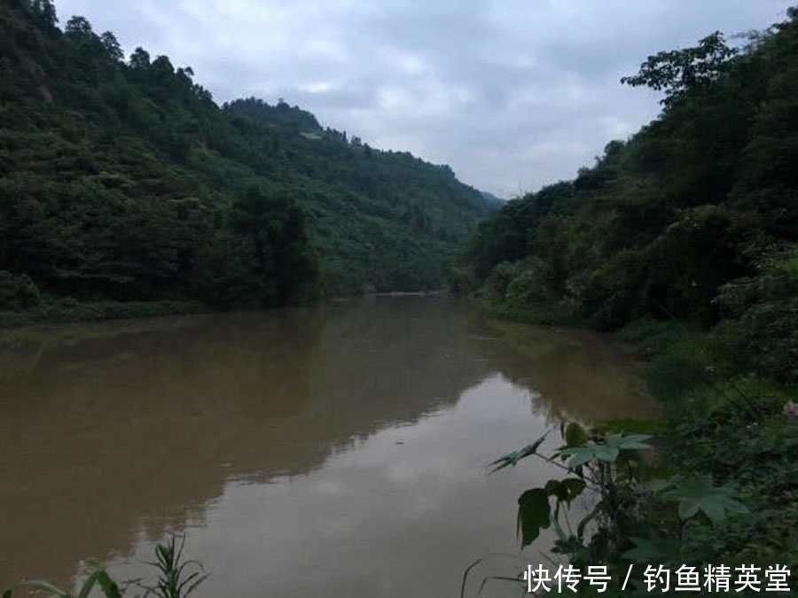 过后|洪水过后去钓鱼,这么大的黄颡鱼,还是头一次钓获