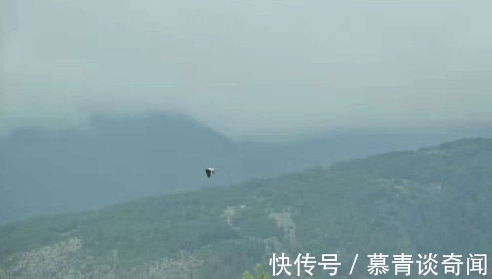 文学作品$萧红《呼兰河传》:生死无常,生死散场(深度好文)