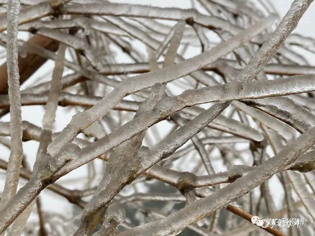 记忆 ｜寒潮再次来袭，还记得前几天的雪吗？