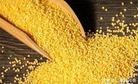 毒素|小米和此物一起煮,每天一碗,排出毒素,胃也暖了,早食早受益