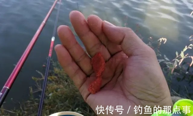 钓友牢记这4个关键字,早春垂钓轻松得鱼,渔获不知道要好几倍!