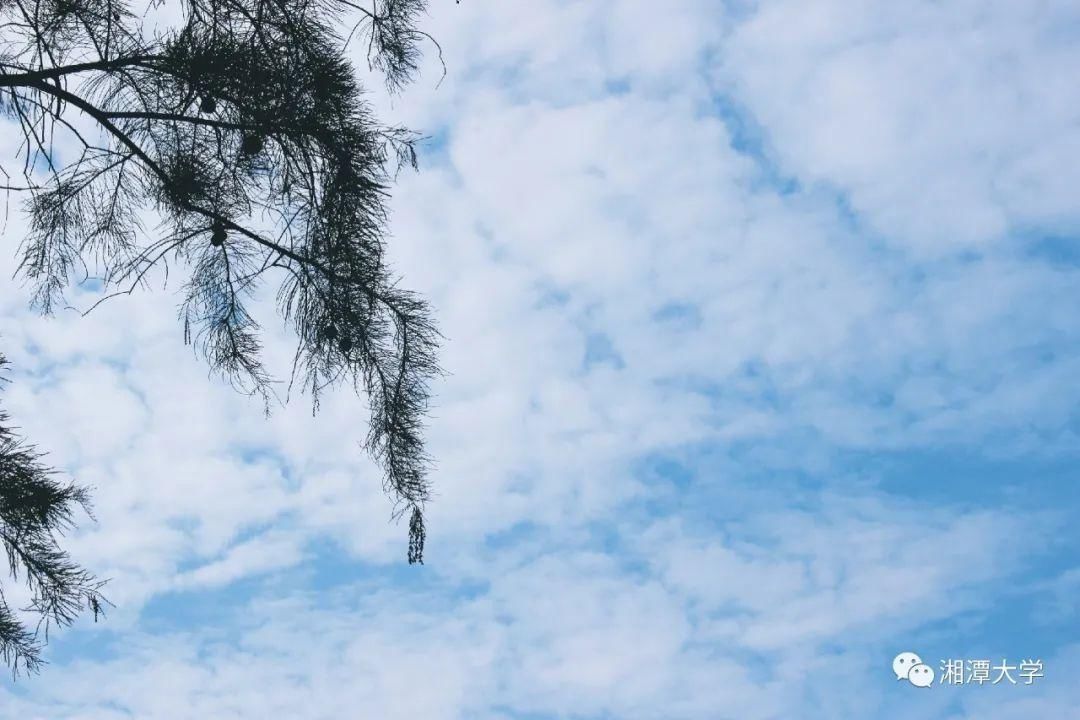 光影间的湘大美景|湘大秋语 | 光影