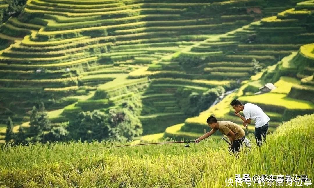 一组图加榜梯田的照片，一年四季都很美，不管几月份来都好看