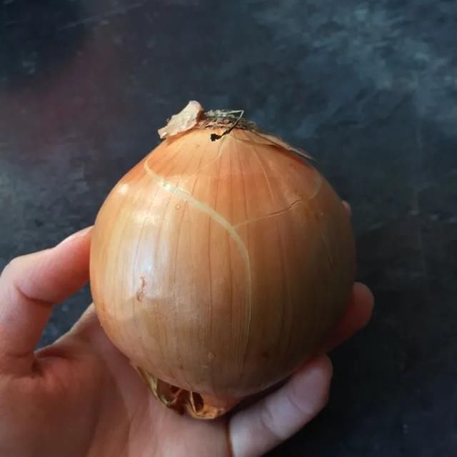 f超详细汉堡牛肉饼|附自制汉堡搭配#Healthymeals#减脂必撸