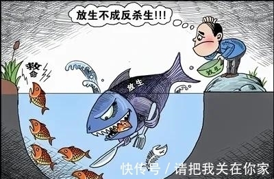 这12个 入侵 鱼 已被列入 黑名单 抓到后建议加餐 快资讯 这12个 入侵 鱼 已被列入 黑名单 抓到后建议加餐 快资讯