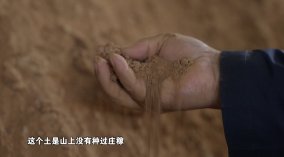 陈凤娟|一边直播一边唱歌 60老汉一年卖鸭蛋上亿元