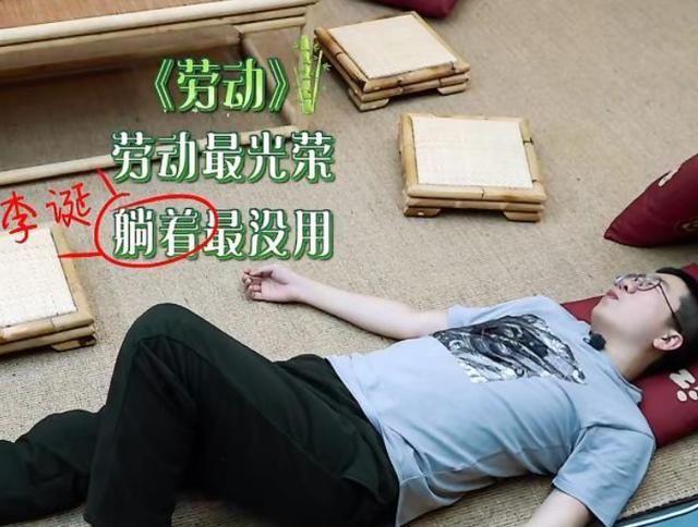 杨紫|最懒客人齐聚《向往5》，黄磊张艺兴早有对策，不愧是狐狸师徒