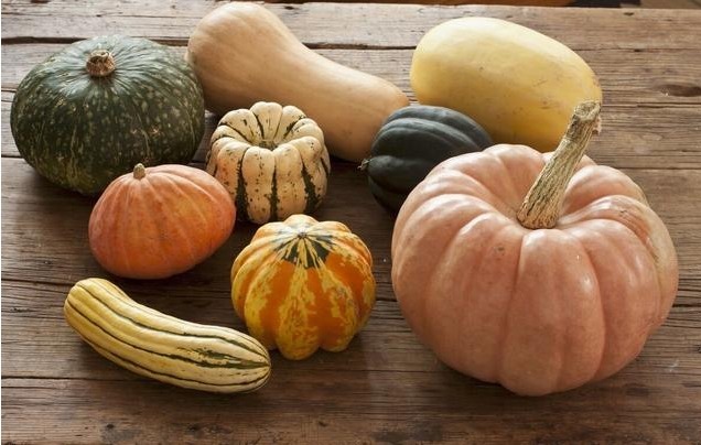 胃病|胃不好，吃什么养胃了解养胃的七个原则，不怕犯胃病