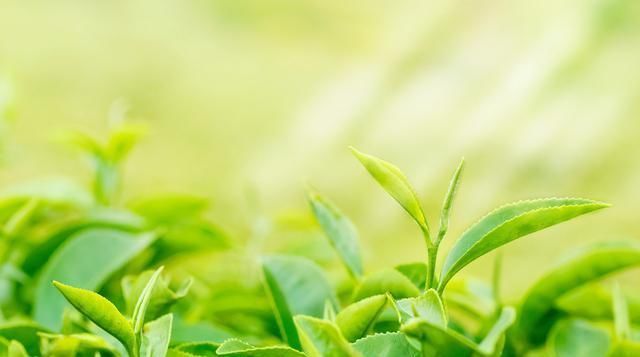 身体有血栓的人晚上有什么成果要预防中风,应