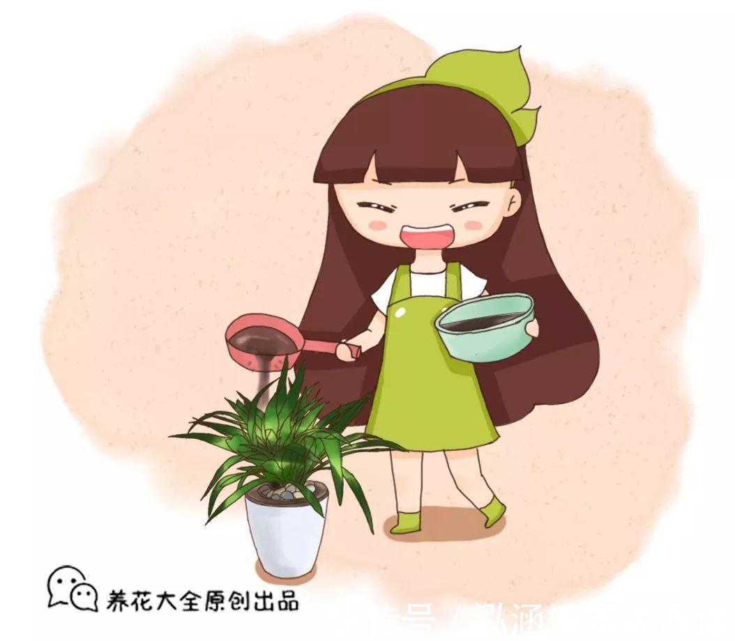 浇花|营养水家家都能做,不花一分钱,给花浇点就爆盆!