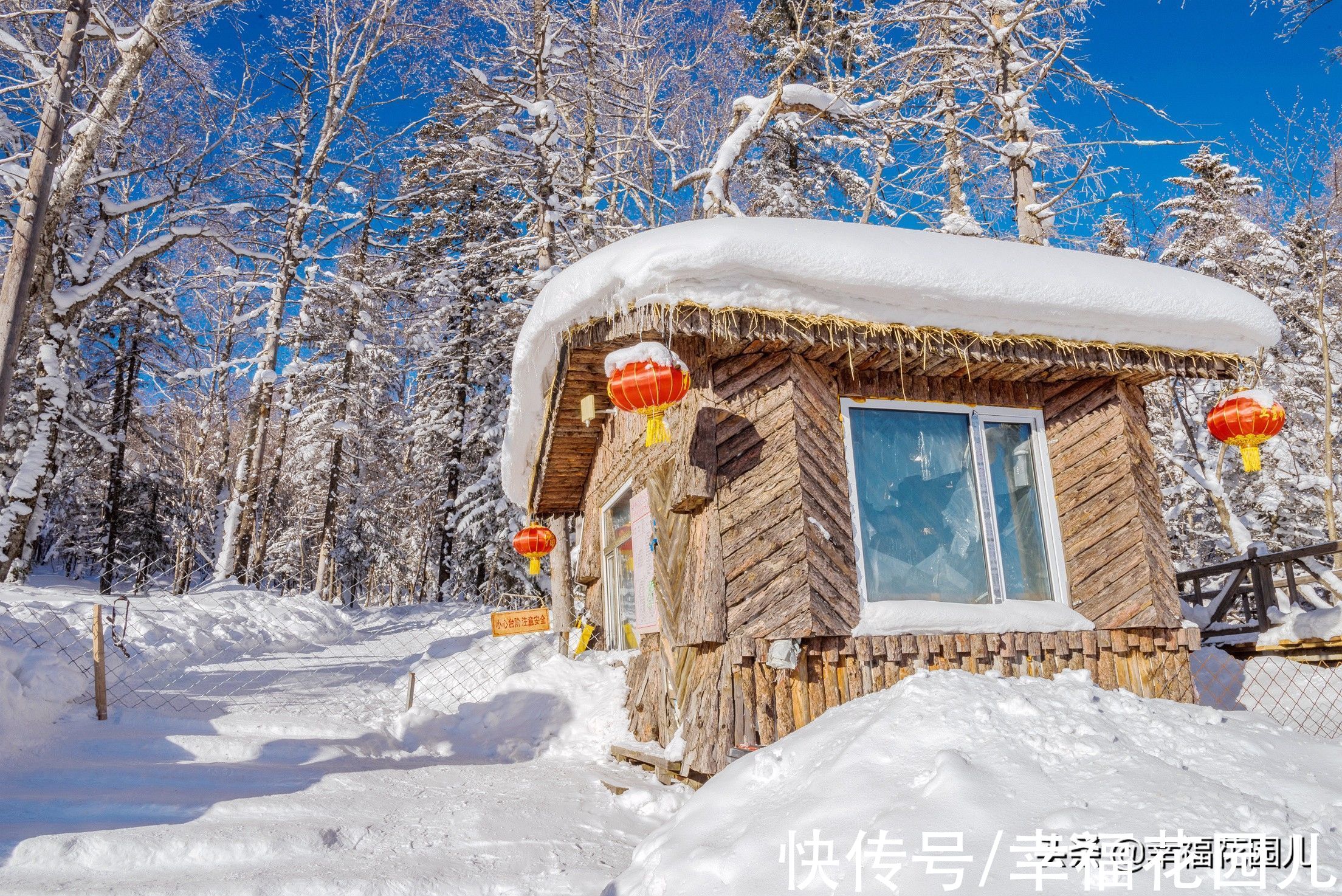 老桥|赏冰、玩雪、看美景，找回儿时过年的味道，就在非常冰雪黑龙江