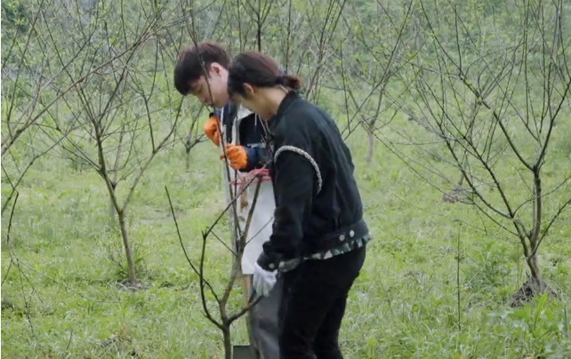 杨紫|张子枫觉得杨紫很适合《向往5》,直接打电话给她,杨紫回复超搞笑