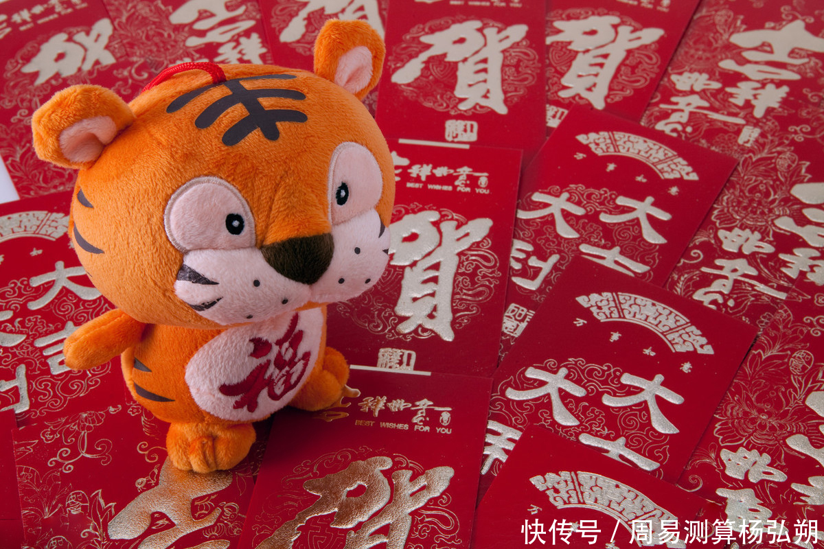 属虎19年幸运色