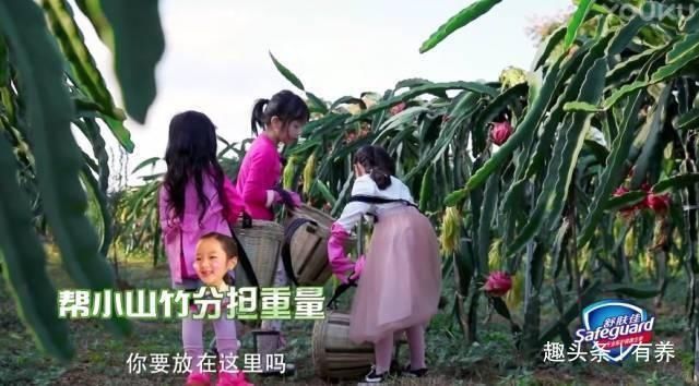 吴尊对孩子的温柔耐心以及用心陪伴,值得所有二胎家庭借鉴