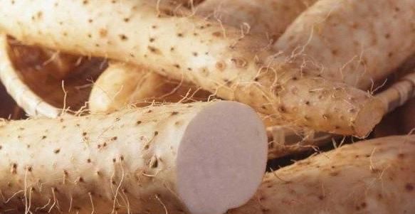 食用|?常吃山药可养胃,营养师:若能按照以下2种吃法,效果还会翻倍
