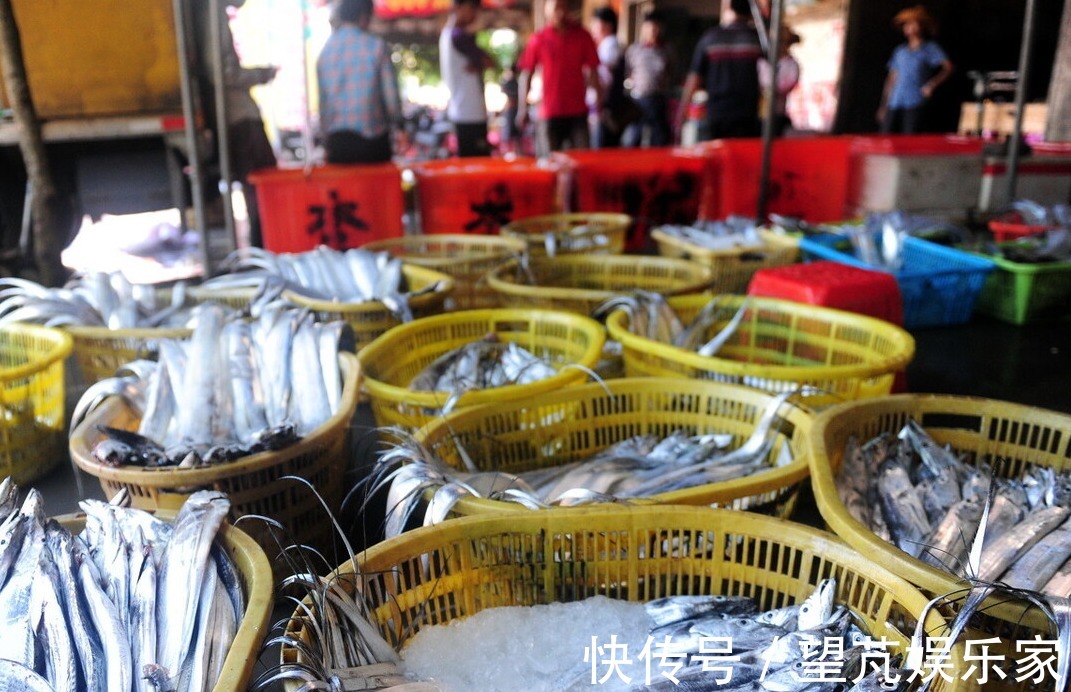 黄眼睛|黄眼睛和黑眼睛的带鱼哪种好吃海边人教你,只选对的不选贵的